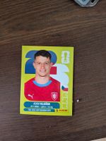 Panini Bild CZE 19
