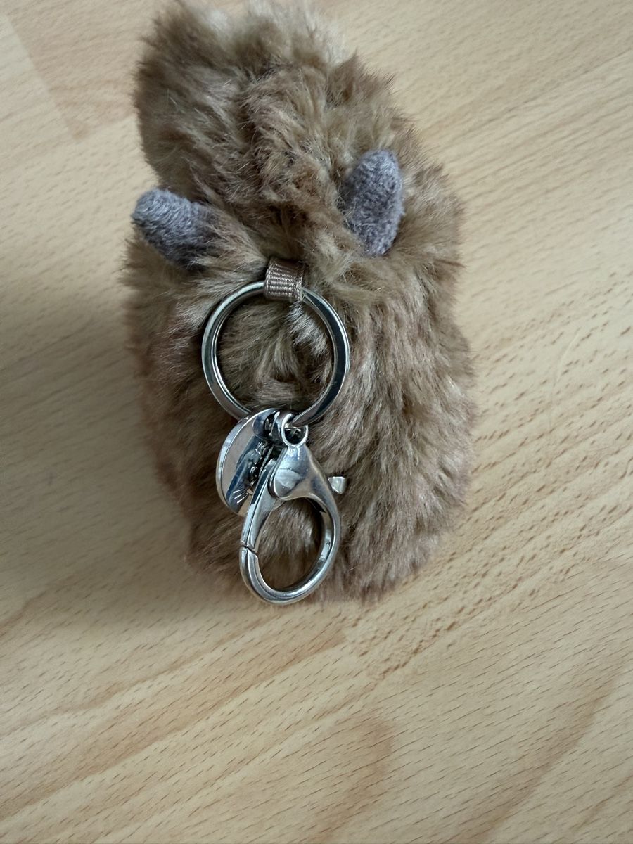 Taschen für Damen: Jelly cat charm bag Kapibara – Neu (gemäss Beschreibung) aus Meyrin von Steph_g28 1