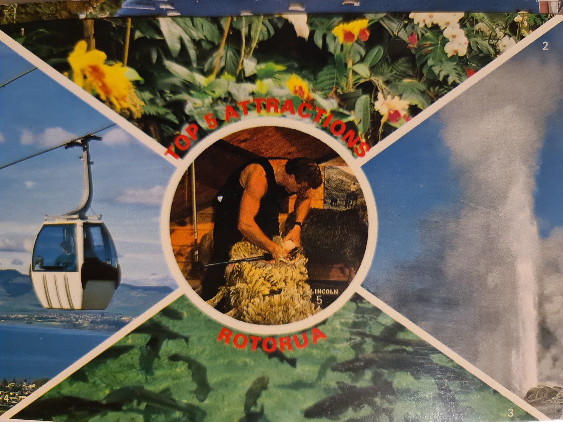 Cartoline postali: Ansichtskarte Rotorua Neuseeland – Usato da Dintikon venduto da Vexi