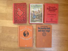 Lot diverse antike Bücher