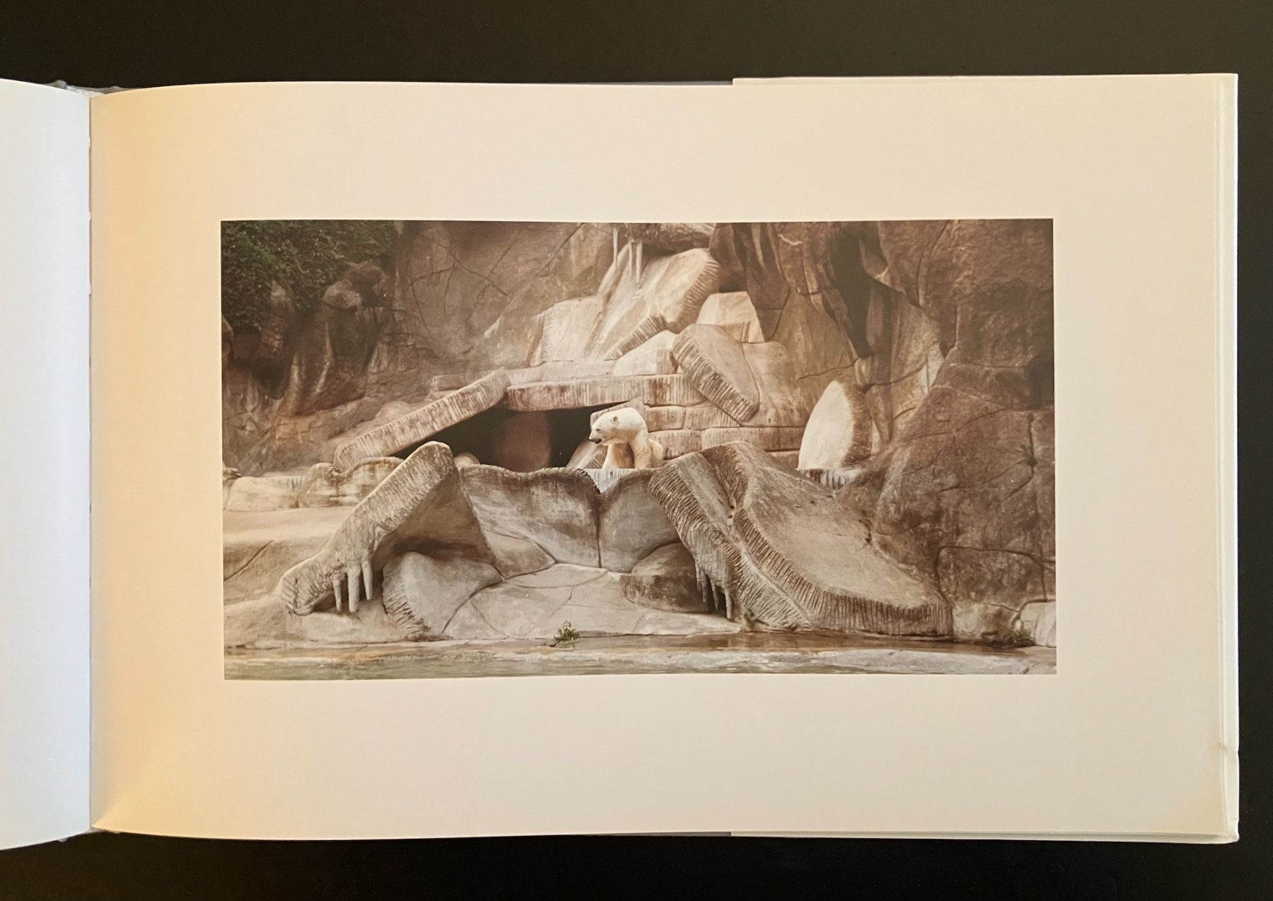 Libri: candida höfer . zoologische gärten – Usato da Basel venduto da cosmos.books 7