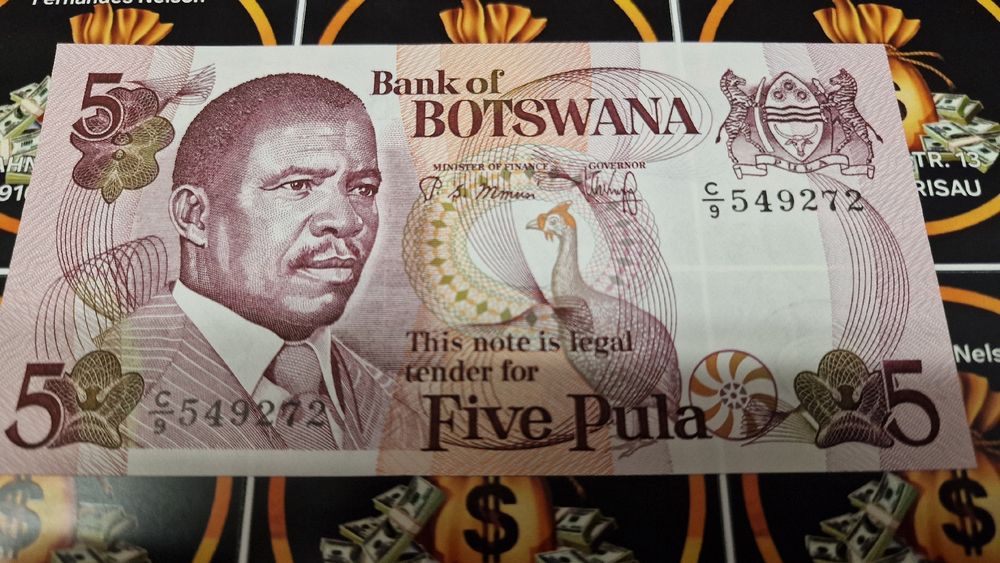 Botswana 5 Pula Banknote - Seltenes Sammlerstück! (Neu und ...