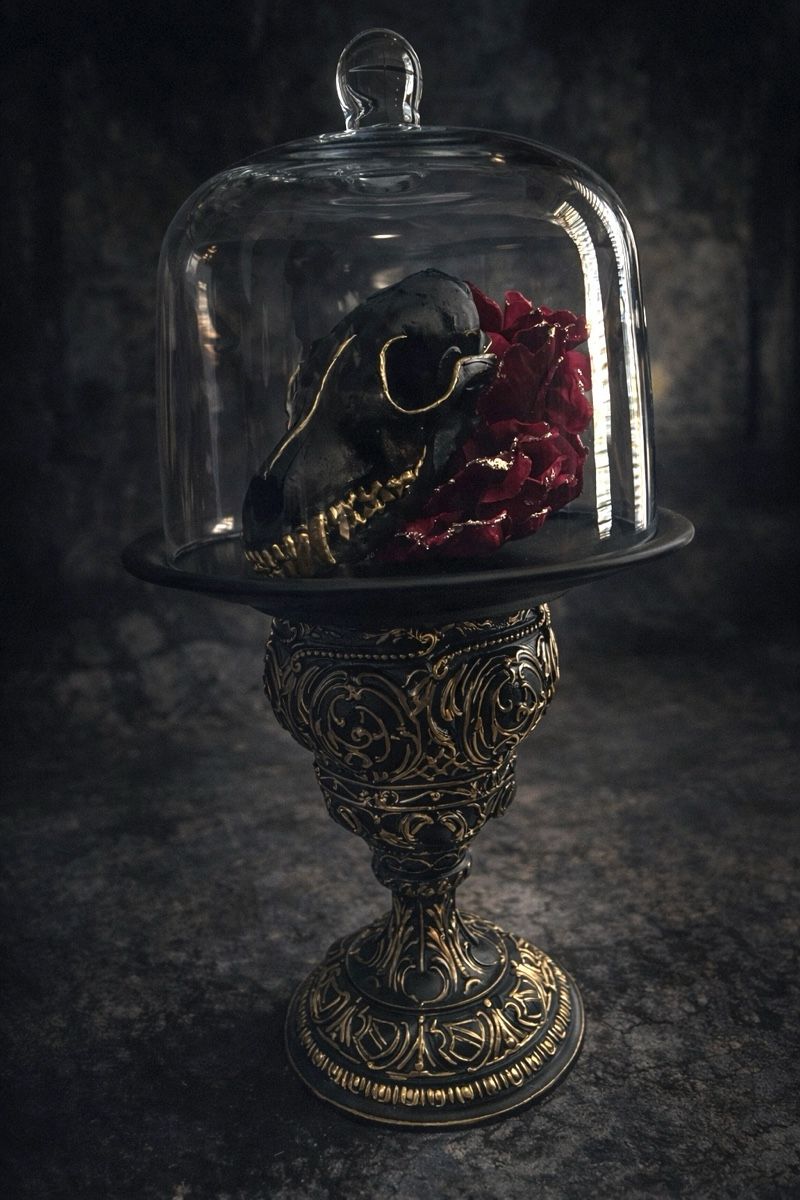 Altre raccolte & rarità: Barock Deco Echter Fuchsschädel – Nuovo e nell'imballaggio originale da Aeschi SO venduto da Uccio.lombe