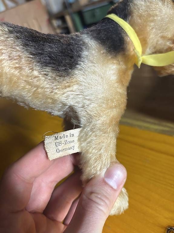 Steiff Giocattoli: Steiff Fox Terrier von ca 1947 – Usato da Kaiseraugst venduto da mengster 3
