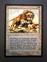 Savannenlöwen // Savannah Lions // FBB // Magic
