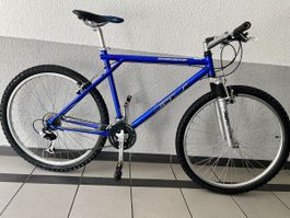 GT Saddleback Mountainbike (Retro-Klassiker)