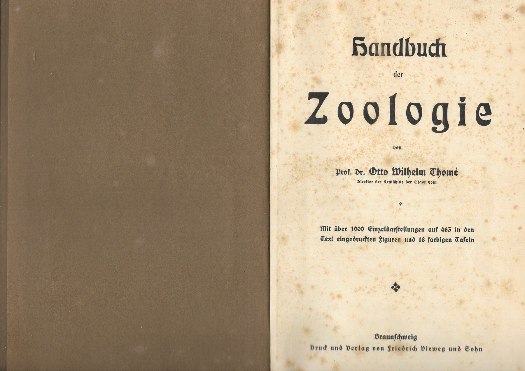 Bücher: Handbuch der Zoologie 1914 – Gebraucht aus Bern von Grindelwaldaus 1