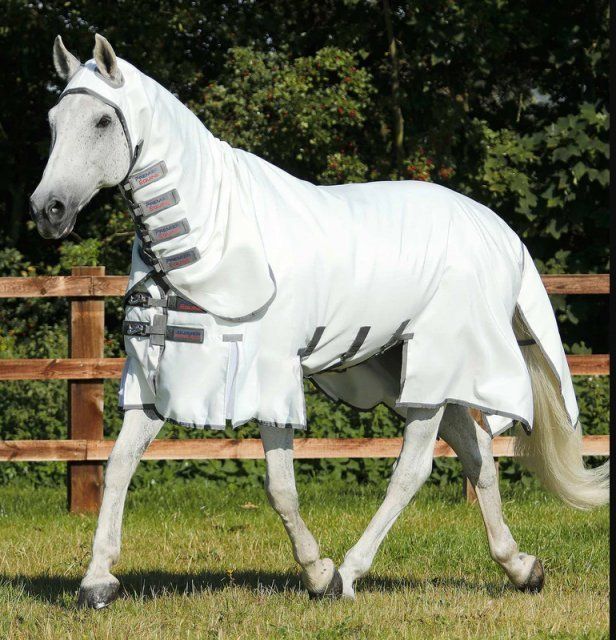 Coperte: Premier Equine Ekzemerdecke, Gr. 155 – Usato da Farnern venduto da Edelweiss_4539