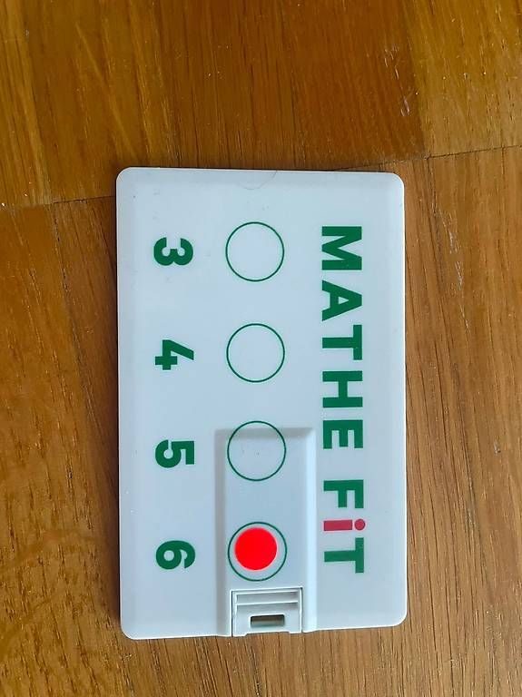 USB Sticks: Mathe FiT 6 – Gebraucht aus Fällanden von Permarco