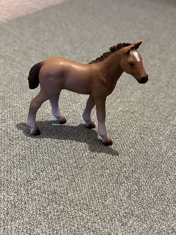 Schleich Giocattoli: Schleich Fohlen – Nuovo (secondo la descrizione) da Wasterkingen venduto da phi_6w2v