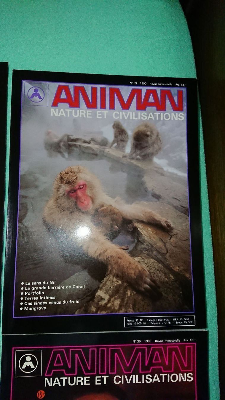 Riviste & Magazine: Animan Magazine – Usato da Cortaillod venduto da signep 7