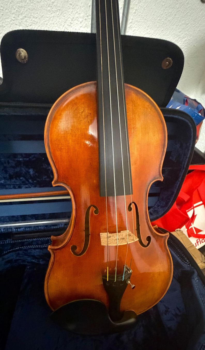 Strumenti musicali: 4/4 Geige/Violine inkl. Koffer & Bogen – Usato da Bülach venduto da sportslab02
