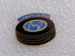 Ansteckpin 198: Hyndai Haltner