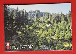 PRO PATRIA 262 MARKENHEFT WII/ 10 KOMPLETT 1998** POSTFRISCH