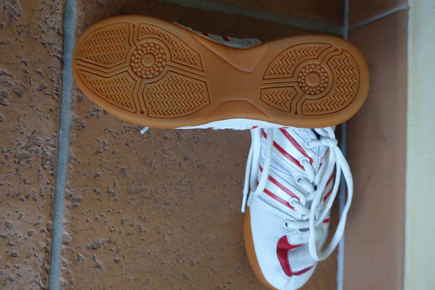 Scarpe per ragazzi: Basket Panther indoor T36 – Usato da Chamoson venduto da daleva0204 3