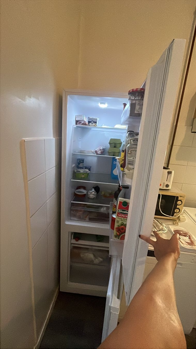 Frigoriferi: FRIDGE with FREEZER (180cm height) – Usato da Genève venduto da ang_5v9z 1