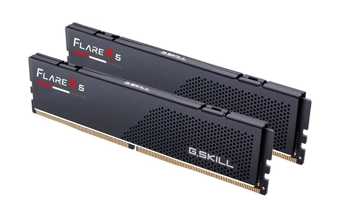 G.Skill Memoria / RAM: G.Skill Flare X5 / 2 x 32 GB – Nuovo (secondo la descrizione) da Herisau venduto da Michfried