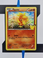 Torchic Holo MCD2511 EN EX