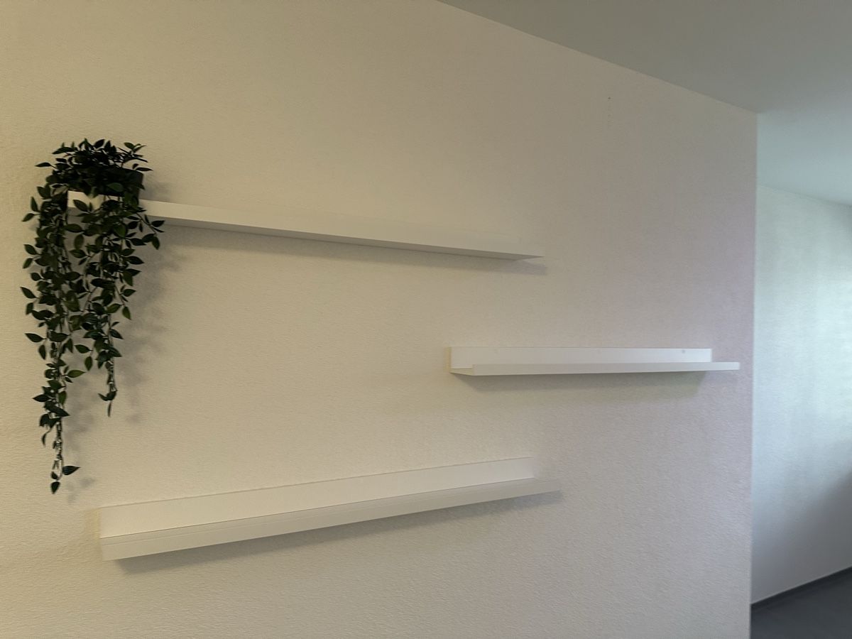 Regale: Shelves – Gebraucht aus Zürich von nat_t6g9