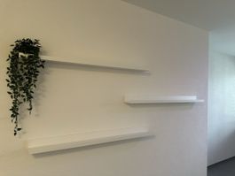 Shelves