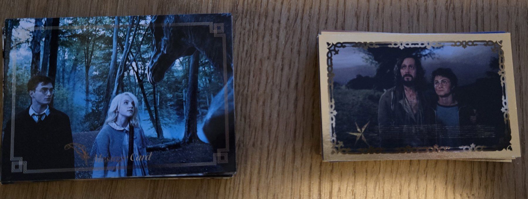 Panini Carte collezionabili: Harry Potter Evolution Trading Card Sammelkarten und Sticker – Usato da Horw venduto da Rebu1
