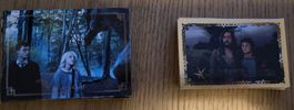 Harry Potter Evolution Trading Card Sammelkarten und Sticker