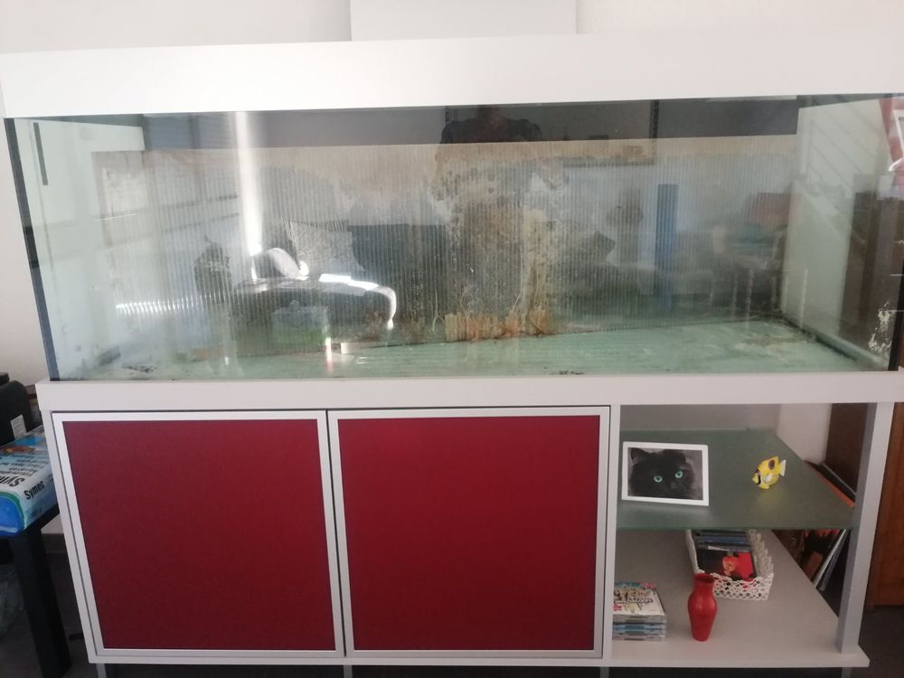 Aquarium (defekt) als Terrarium nutzen? Kaufen auf Ricardo