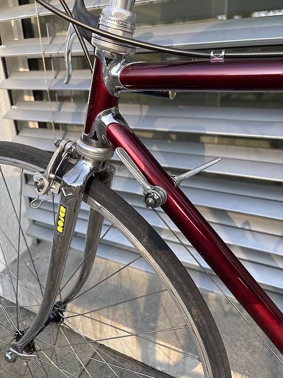 Campagnolo Velos: Moser Rennvelo 50cm Rahmengrösse – Gebraucht aus Bern von nur_m8pg 3