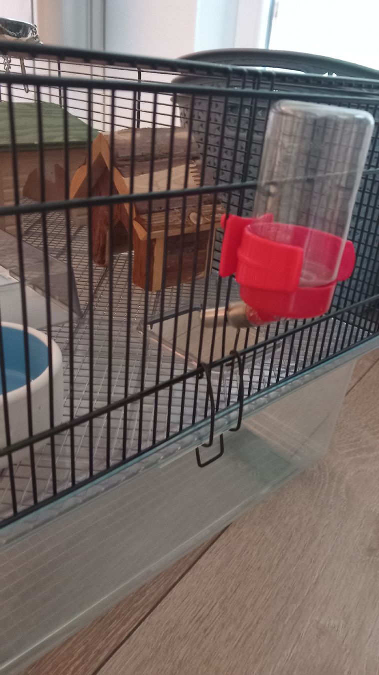 Gabbie, trasporto & Sicurezza: Hamsterkäfig mit Zubehör – Usato da Rorbas venduto da siramad 2