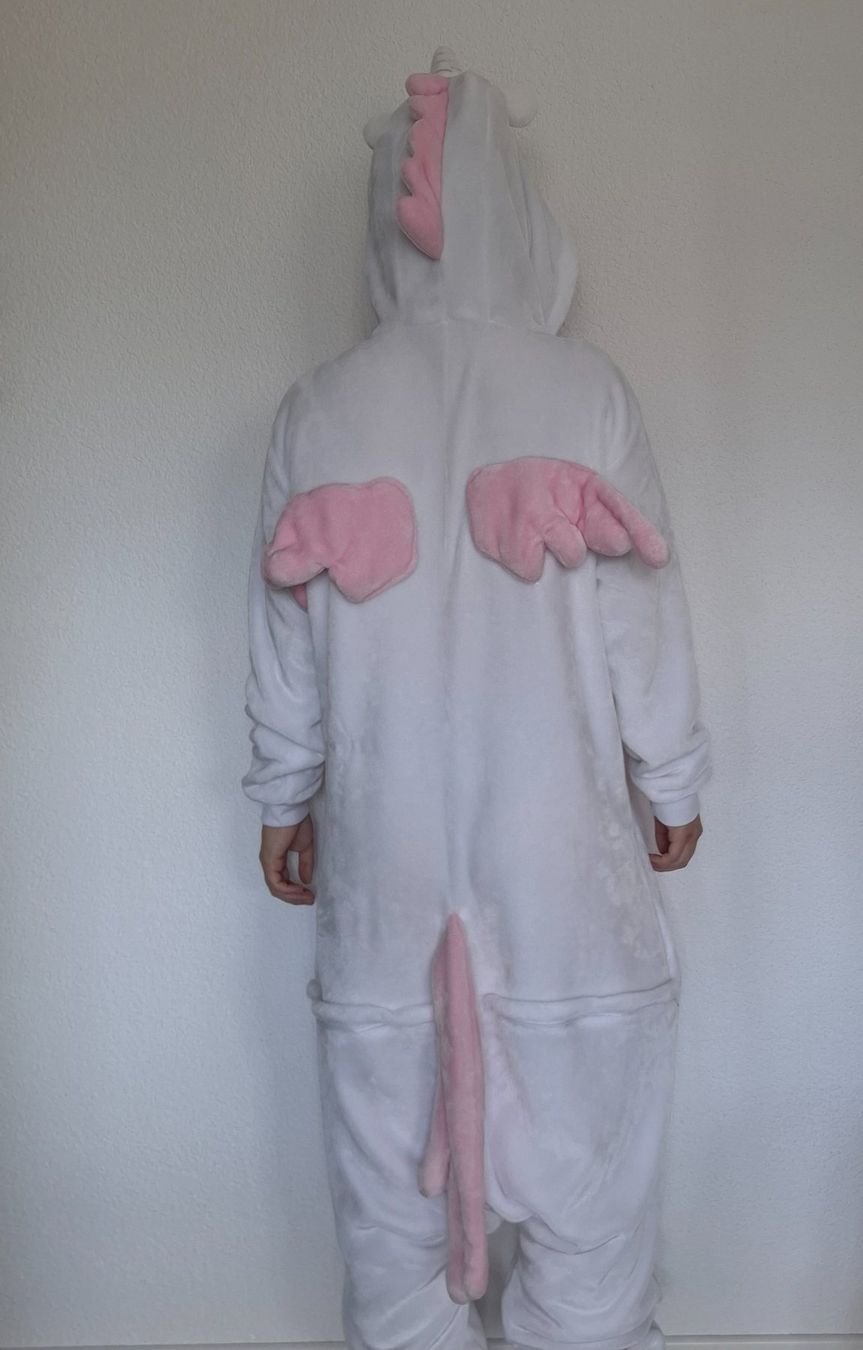 Costumi: Einhorn Anzug – Usato da Gunzwil venduto da 11G11 1