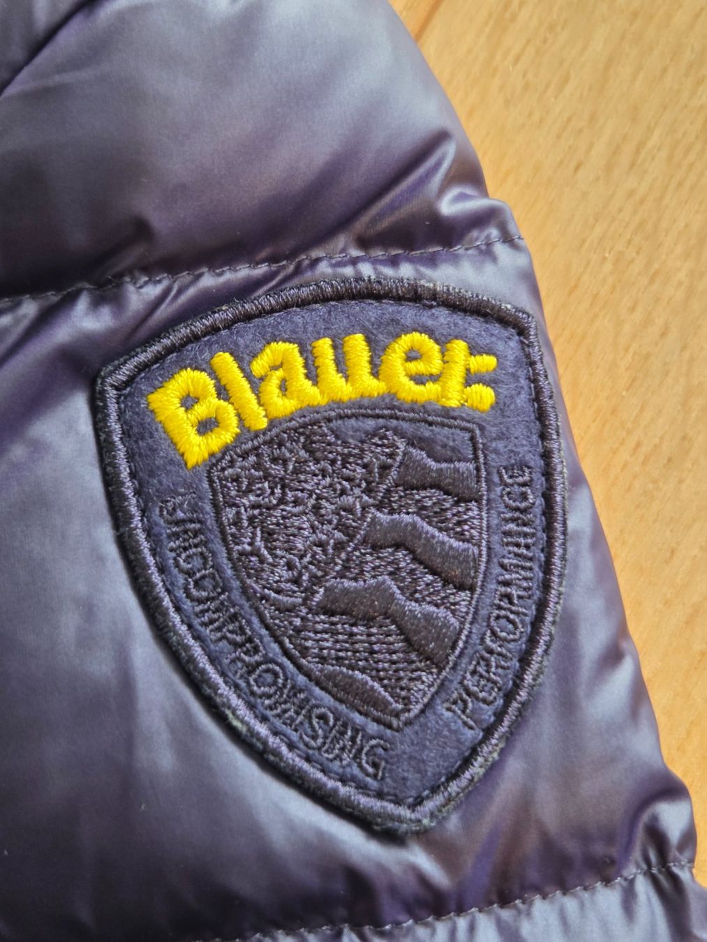 Giacche: Daunen- Frauen Winterjacke BLAUER – Usato da Winterthur venduto da jocker_dv 4