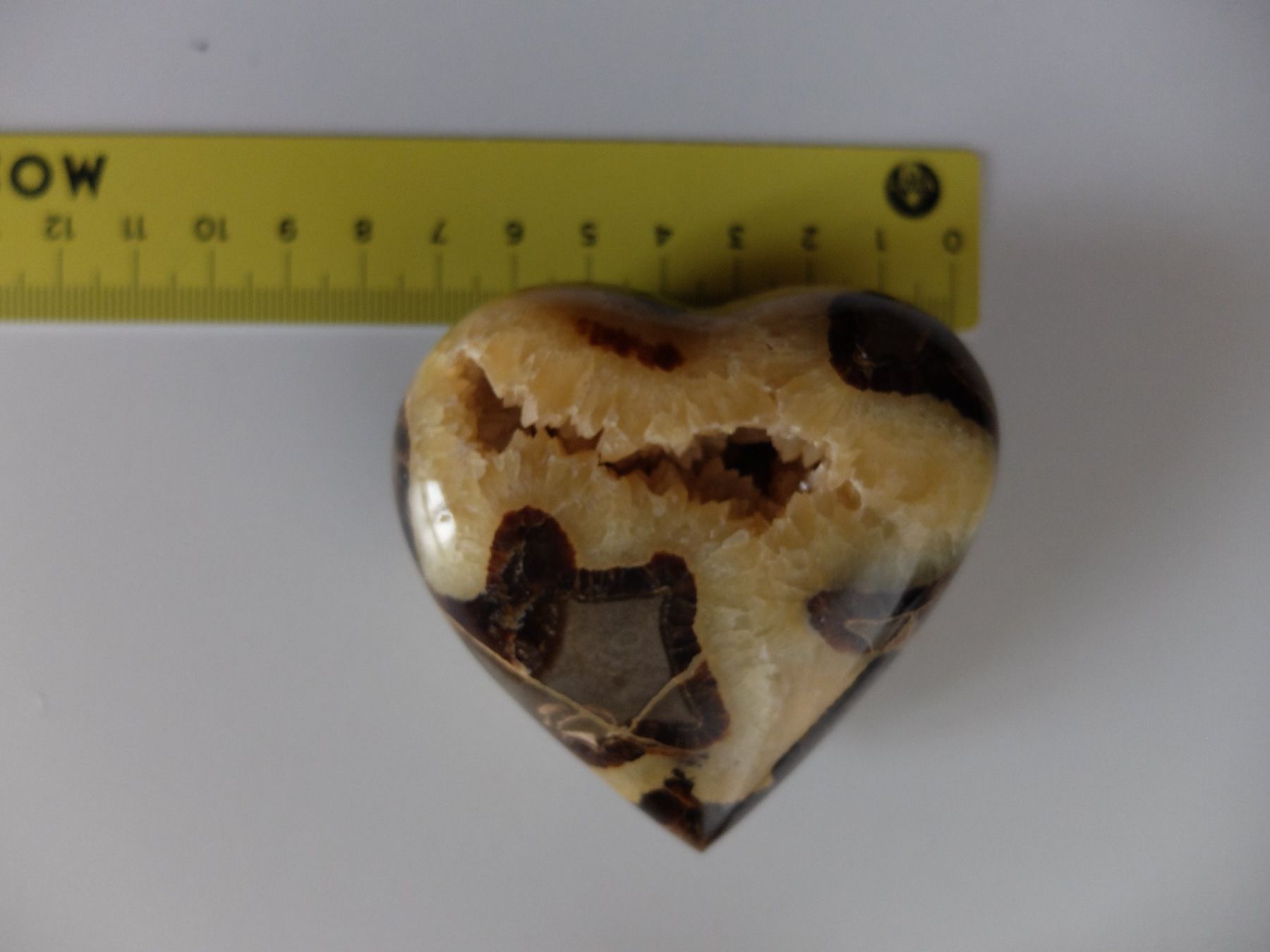 Minerali & Pietre curative: COEUR EN SEPTARIA PIERRE – Usato da LAUSANNE venduto da KWEW 3