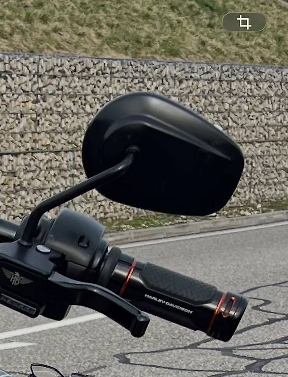 Tutti i ricambio per moto: Poignée moto HD Softail – Usato da Rossemaison venduto da philippe.schmid 1