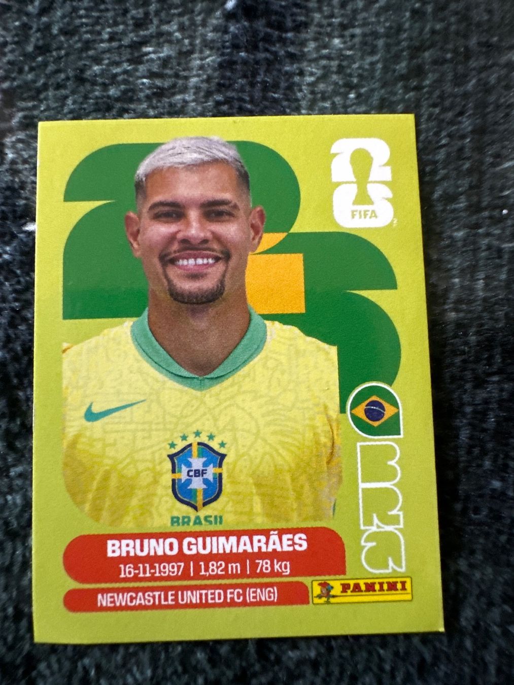 Panini Cartes à collectionner: BRA11 – Neuf (Voir description) à Sion par loi_9vyj