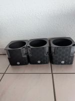 3 Selbstbewässerungstöpfe