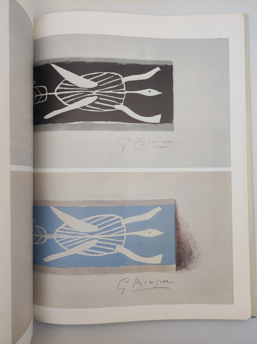 Libri: BRAQUE WERKVERZEICHNIS – Usato da Goldach venduto da Gaip 1