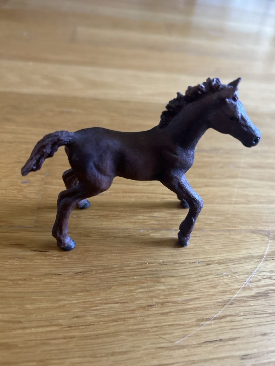 Schleich Giocattoli: Schleich Pferde Fohlen und Stute – Nuovo (secondo la descrizione) da Zürich venduto da Kascha.B. 2