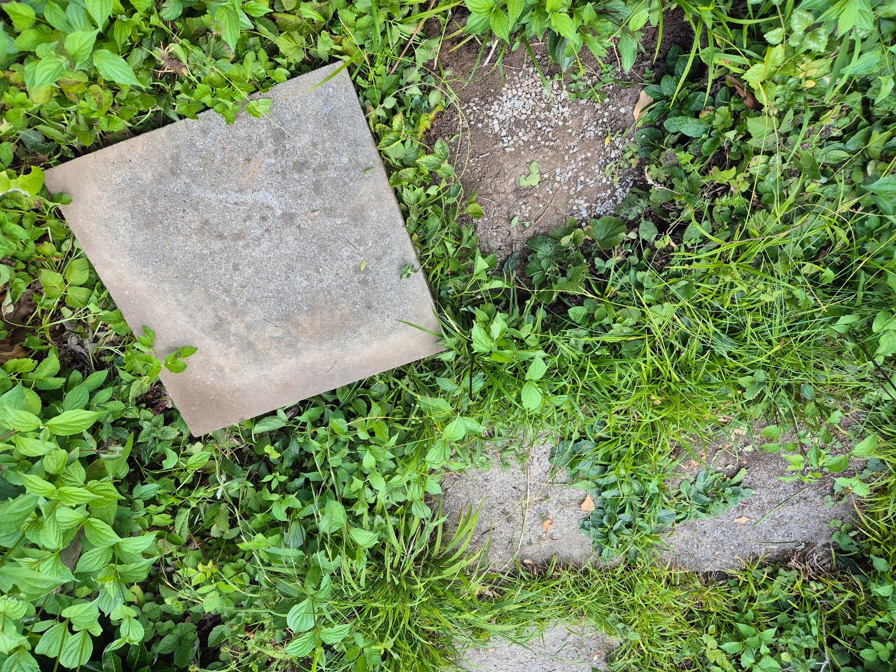 Revêtements de sol: 67 Gartenplatten gratis abzugeben – D'occasion à Aesch ZH par pbre