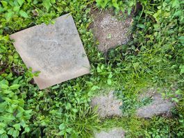 67 Gartenplatten gratis abzugeben