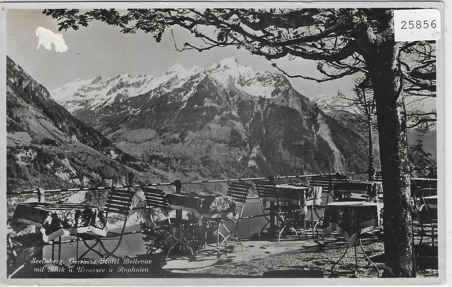 Cartoline postali: Seelisberg - Terrasse Hotel Bellevue – Difettoso da Ettingen venduto da Kartenplanet