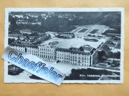1954 Wien, Schönbrunn -  Fliegeraufnahme