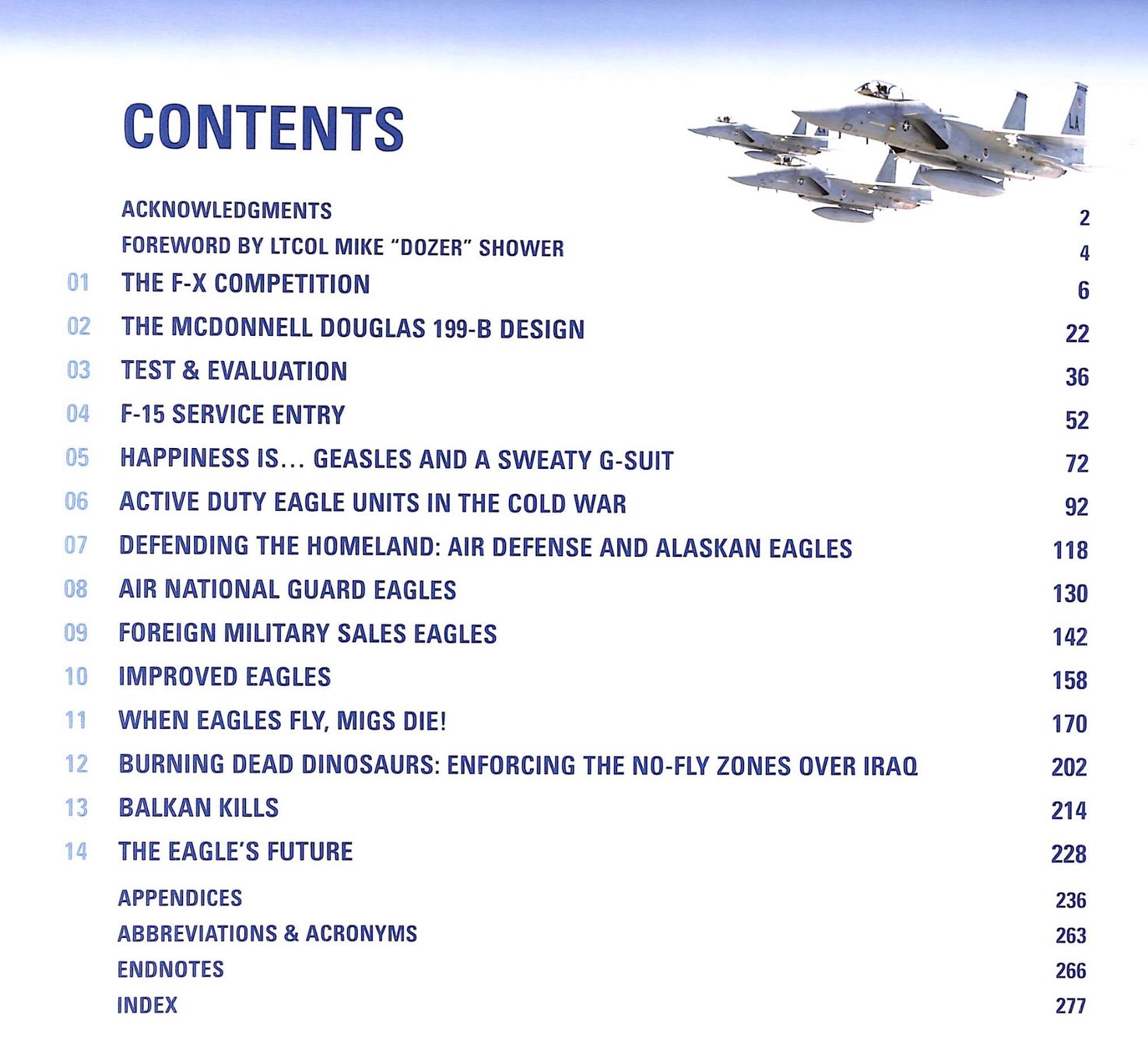 Libri: F-15 Eagle Engaged: the World's Most Successful Jet Fighter – Nuovo (secondo la descrizione) da Zürich venduto da Nobs1 3