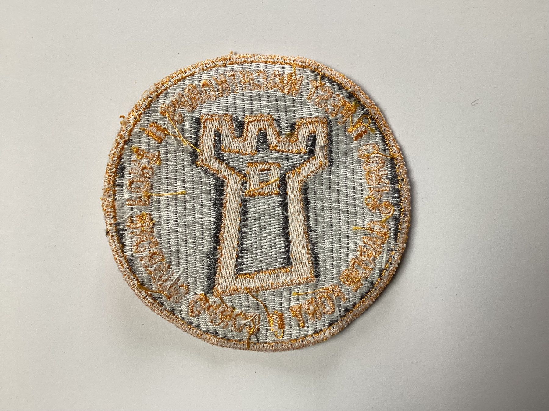 Schweizer Armee Plaketten & Abzeichen: Badges – Gebraucht aus niederurnen von Hagugelmann 1