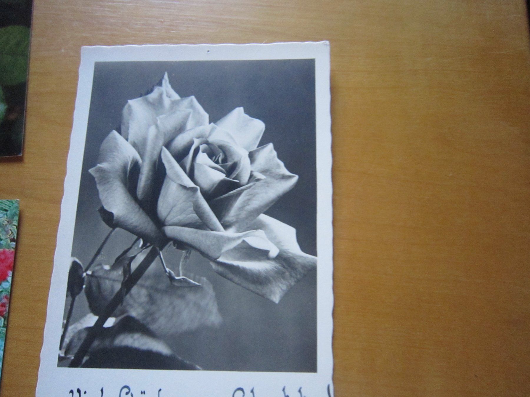 Cartes postales: No2 schöne Postkarten Blumen – D'occasion à Gordola par Polentaefung 2