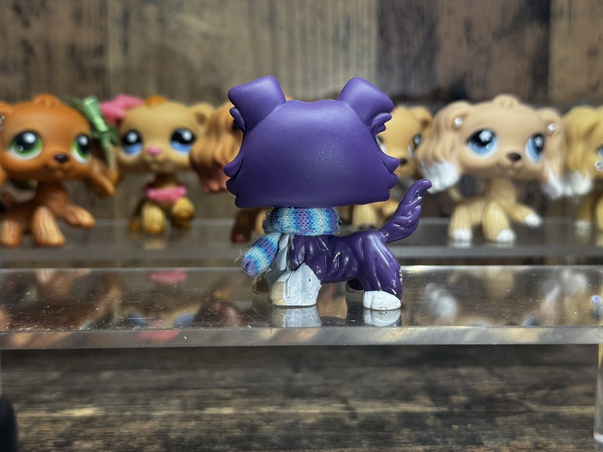 Hasbro Spielzeuge: Littlest pet shop Collie – Gebraucht aus Luzern von Maja.C 1