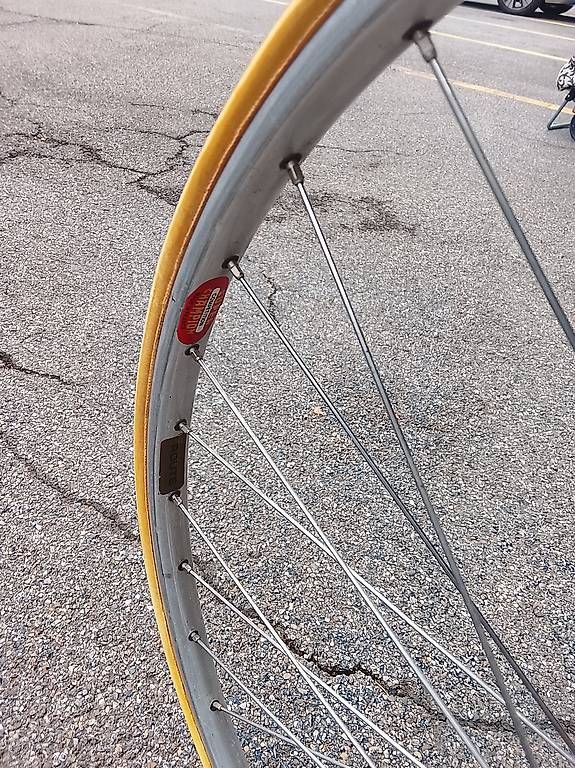 Velos: Rennrad Tigra Cycle Sieger – Gebraucht aus Neuhausen am Rheinfall von galleria13 2