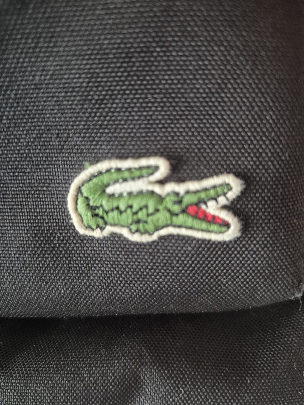 Lacoste Zaini: Schwarzer Lacoste Rucksack mit Laptopfach – Usato da Niederrohrdorf venduto da Sistarr 1