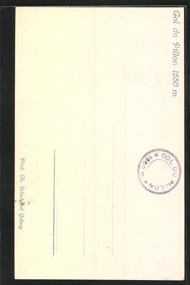 Cartes postales: AK Col du Pillon, Vue générale – D'occasion à Berlin par bartko-reher 1