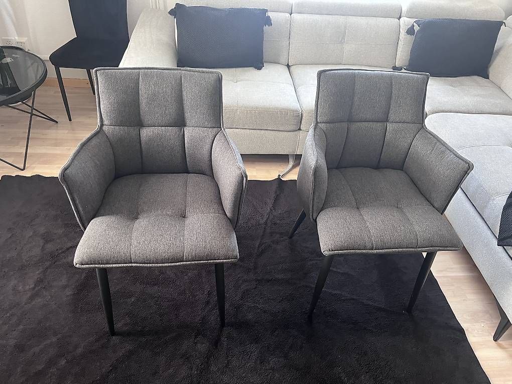 Sedie: 2 moderne Polsterstühle  Grau – Nuovo e nell'imballaggio originale da Hilterfingen venduto da mus_85w9