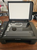 Canon TS3150 - mit Tinte